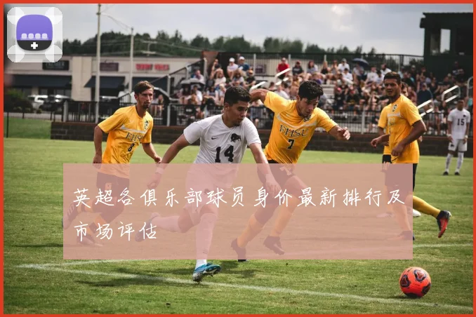 英超各俱乐部球员身价最新排行及市场评估